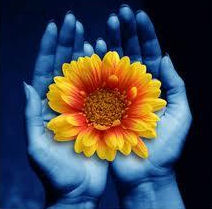 Hands holding a flower